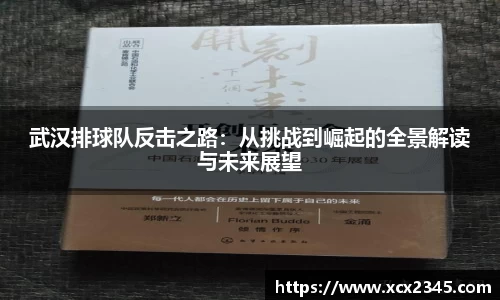武汉排球队反击之路：从挑战到崛起的全景解读与未来展望